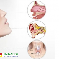 Unimed (1)